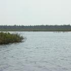 Carlton Lake Wetlands